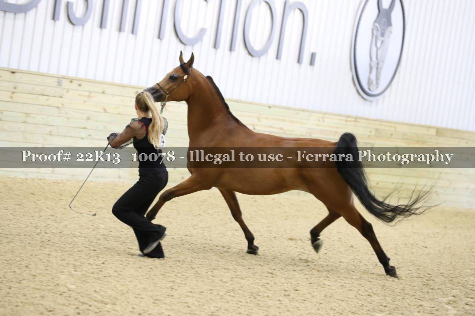 Proof 22R13_10078