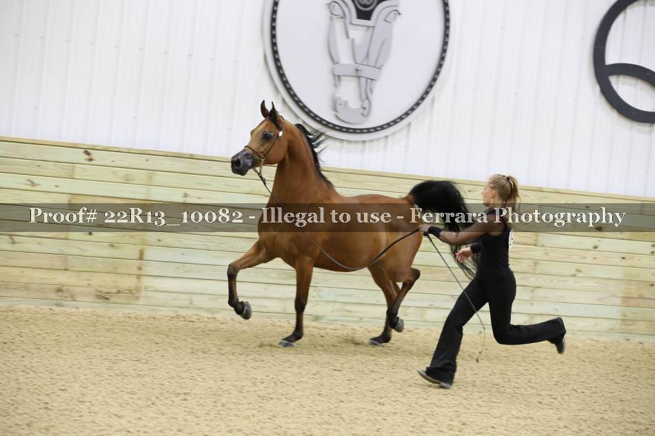 Proof 22R13_10082