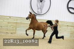 22R13_10082 proof