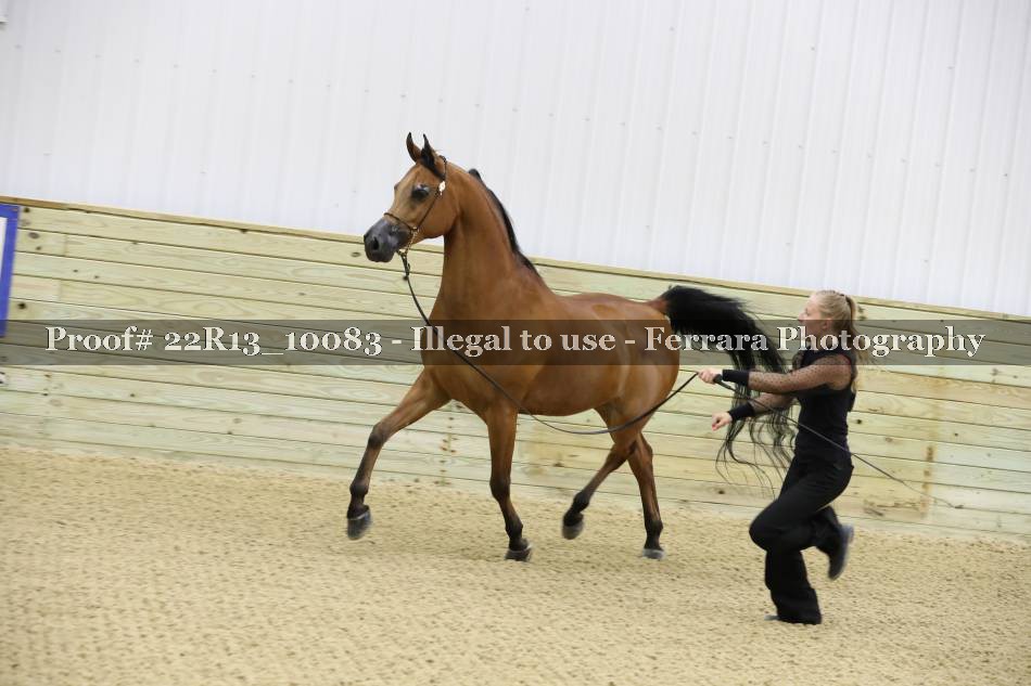 Proof 22R13_10083