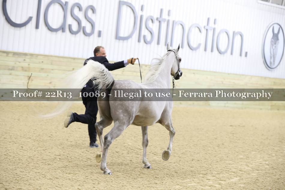 Proof 22R13_10089