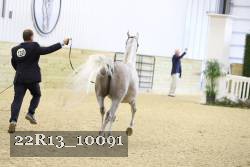 22R13_10091 proof