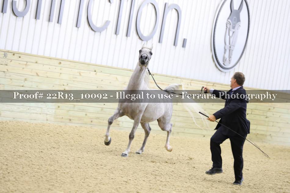 Proof 22R13_10092