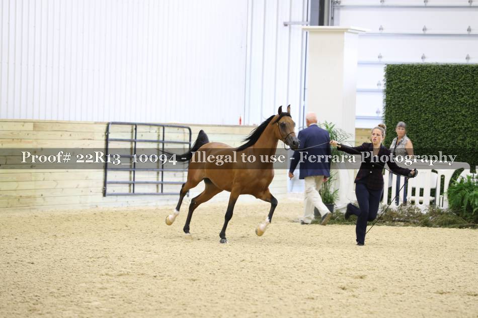 Proof 22R13_10094