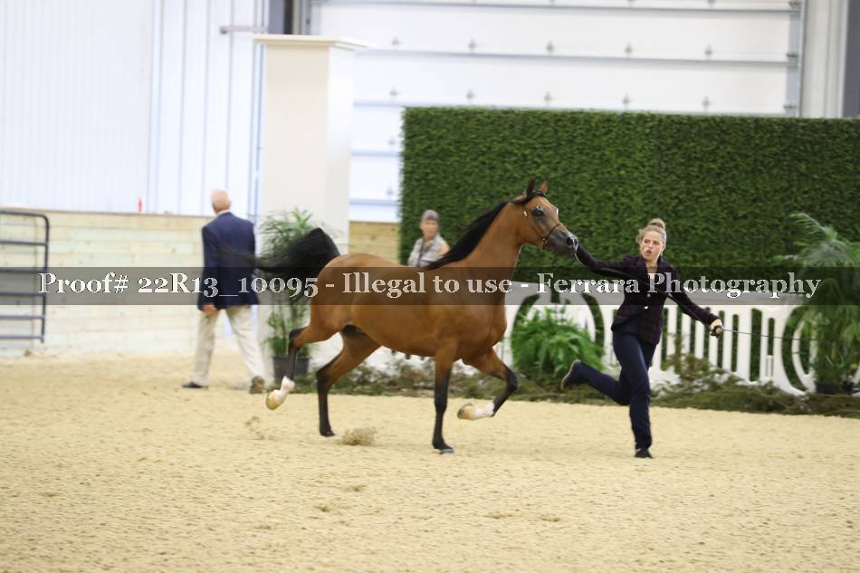 Proof 22R13_10095