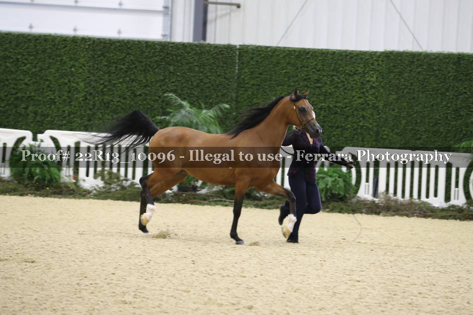 Proof 22R13_10096