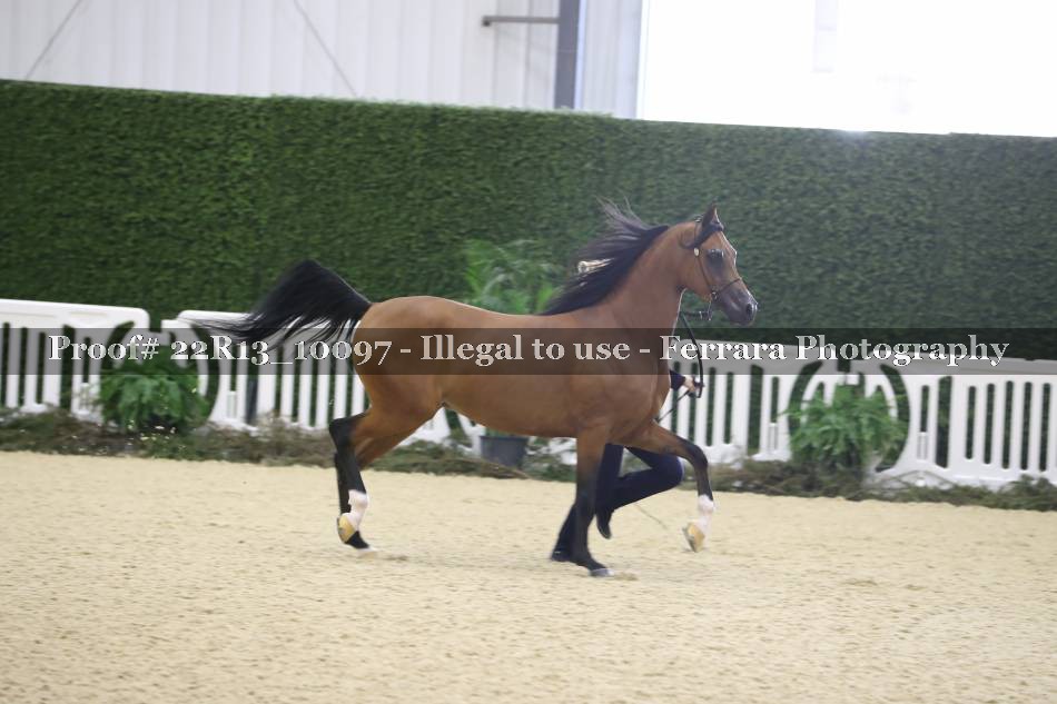 Proof 22R13_10097