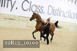22R13_10100 proof