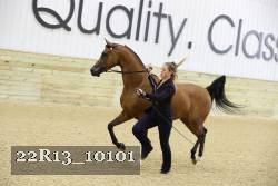 22R13_10101 proof