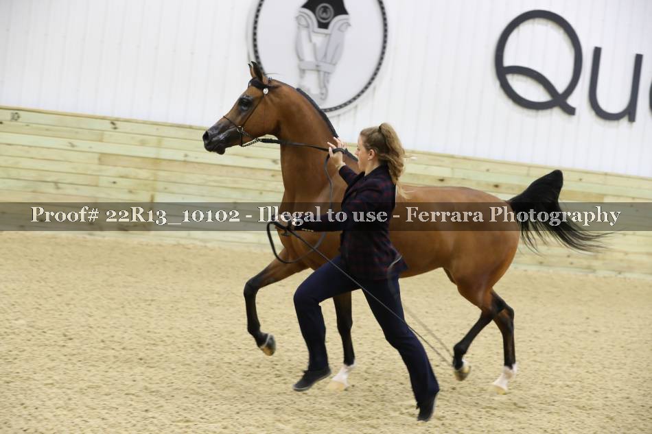 Proof 22R13_10102