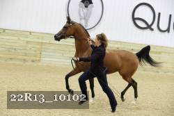 22R13_10102 proof