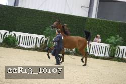 22R13_10107 proof