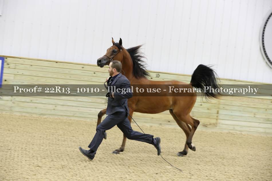 Proof 22R13_10110