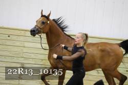 22R13_10135 proof