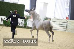 22R13_10149 proof