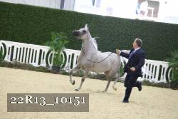 22R13_10151 proof