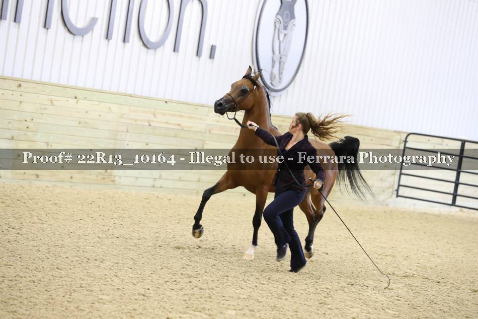 Proof 22R13_10164