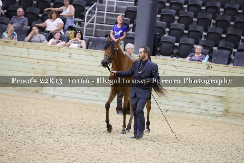Proof 22R13_10166