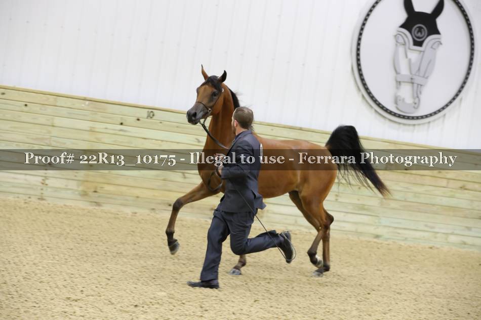 Proof 22R13_10175
