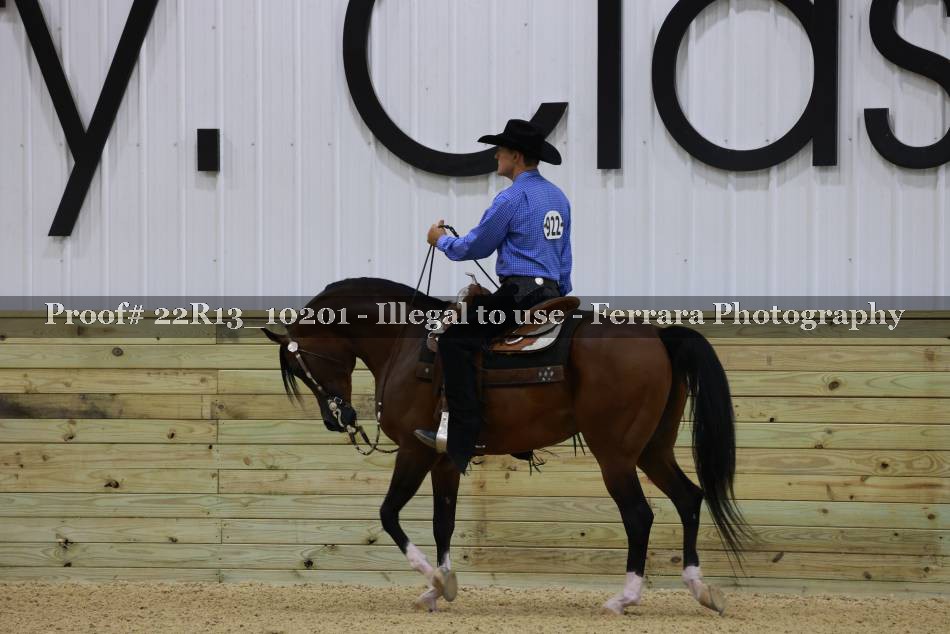 Proof 22R13_10201