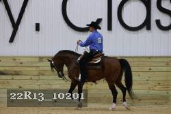 22R13_10201 proof