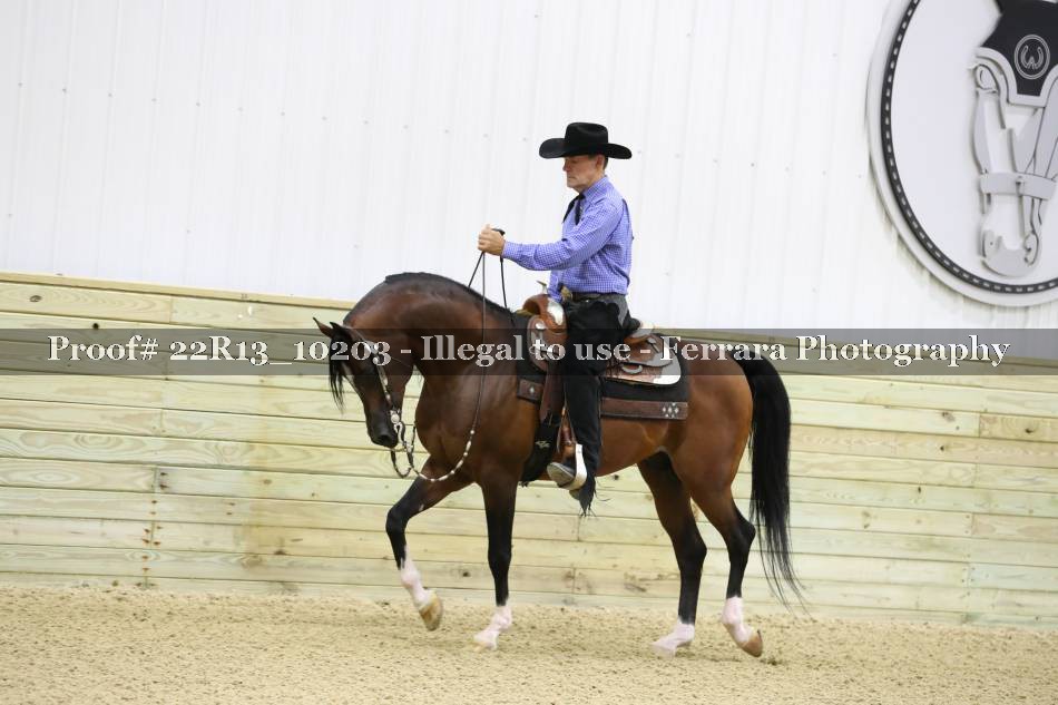 Proof 22R13_10203