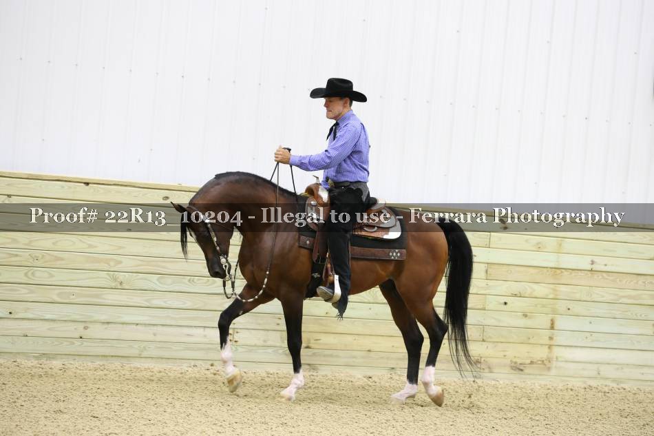Proof 22R13_10204