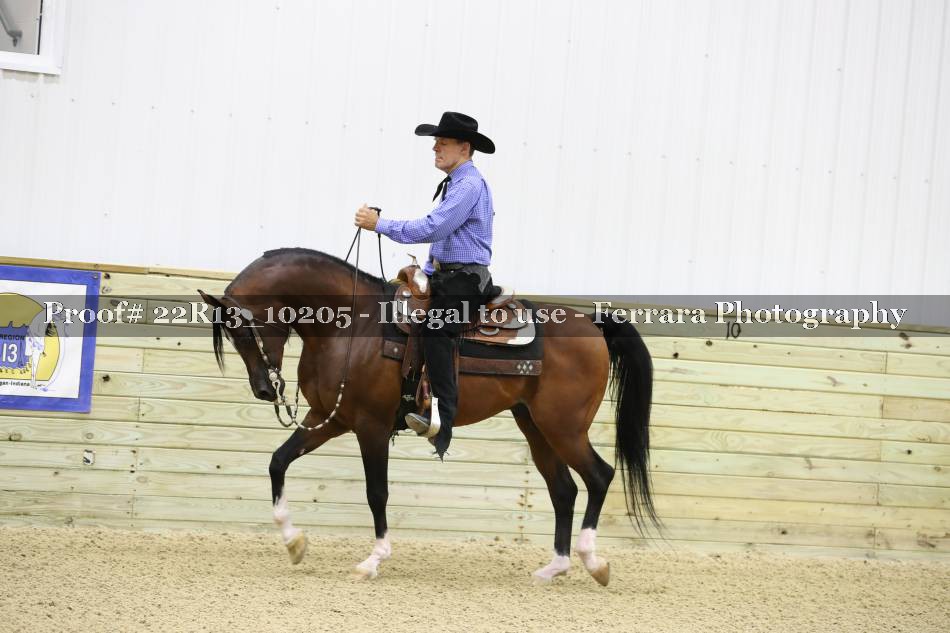 Proof 22R13_10205