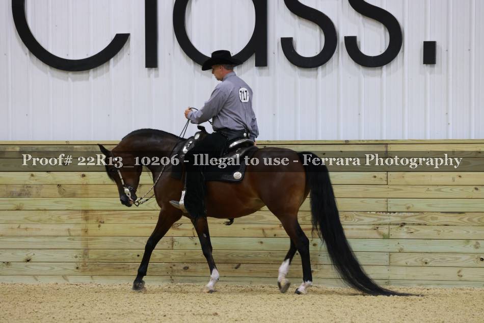 Proof 22R13_10206