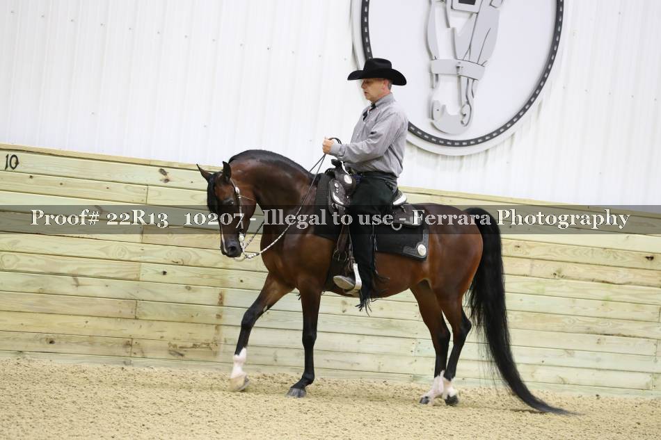 Proof 22R13_10207