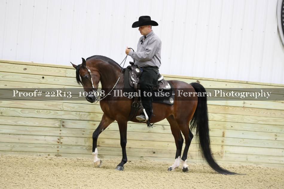 Proof 22R13_10208