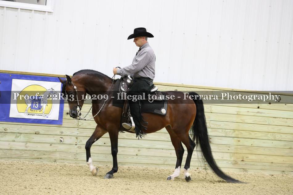 Proof 22R13_10209