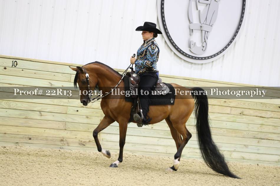 Proof 22R13_10214