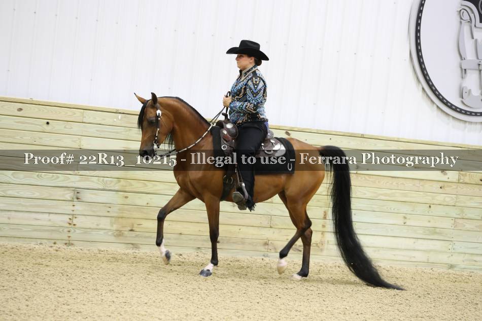Proof 22R13_10215