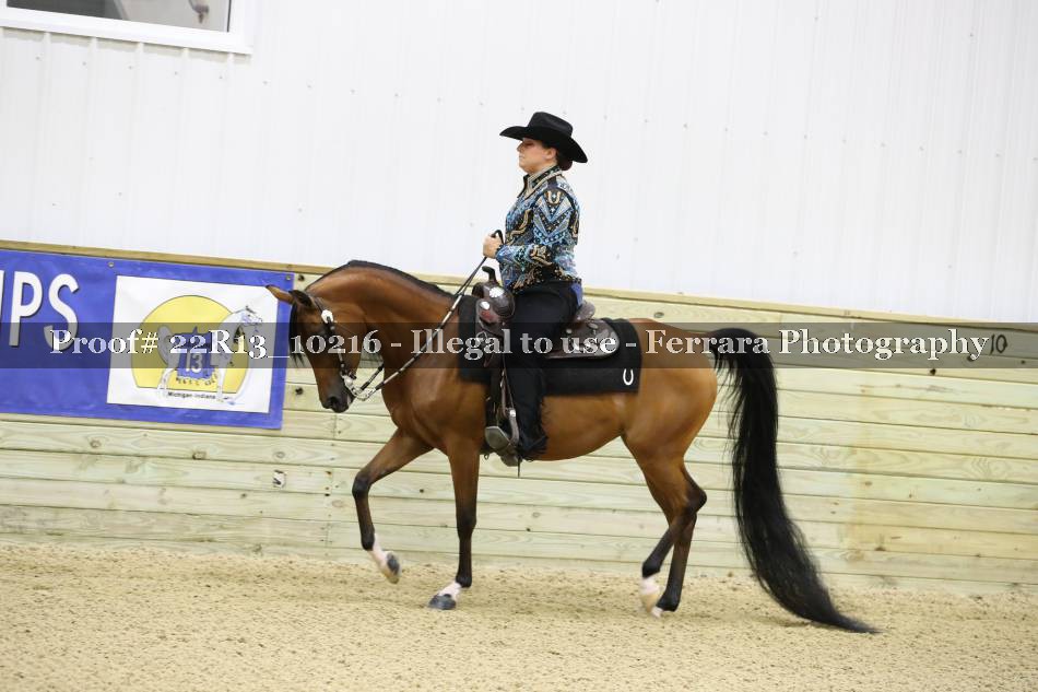 Proof 22R13_10216