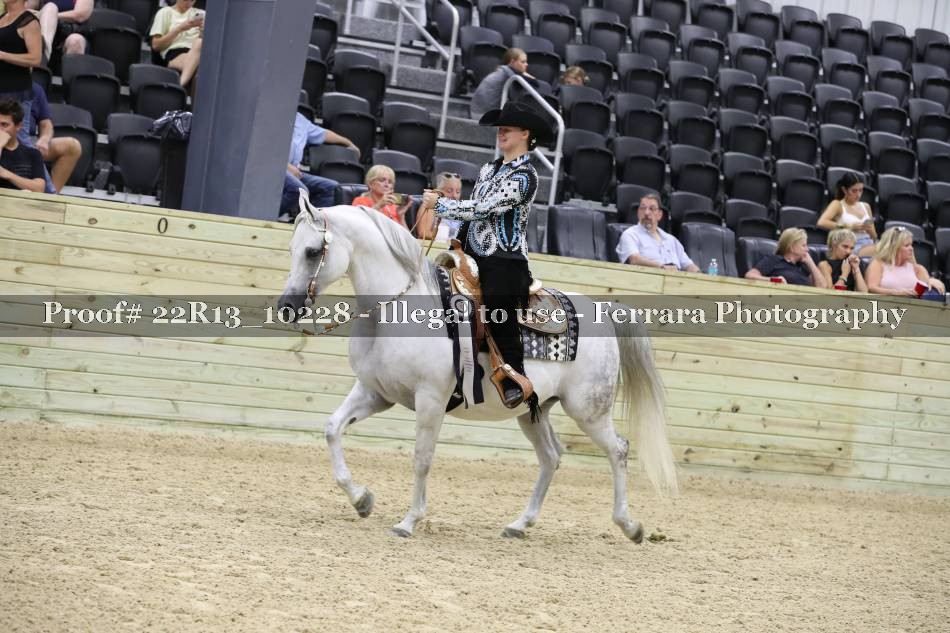 Proof 22R13_10228