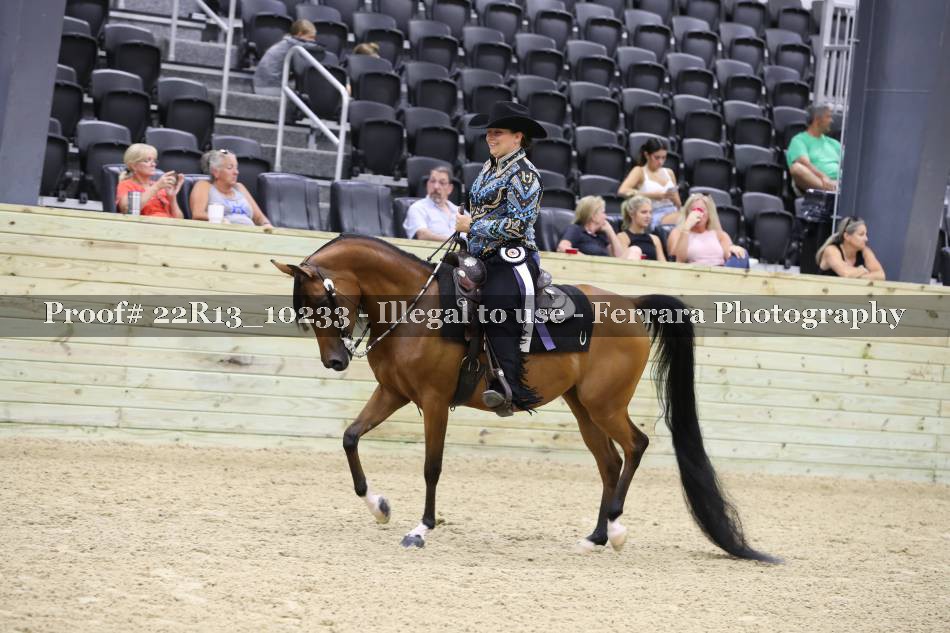 Proof 22R13_10233