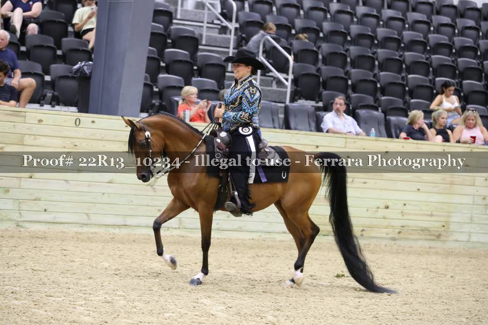Proof 22R13_10234