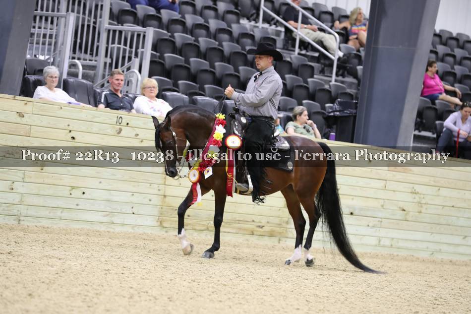 Proof 22R13_10238