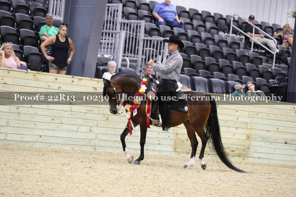 Proof 22R13_10239