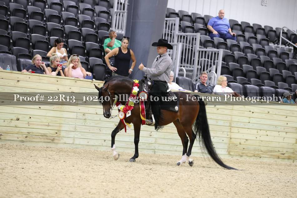 Proof 22R13_10240