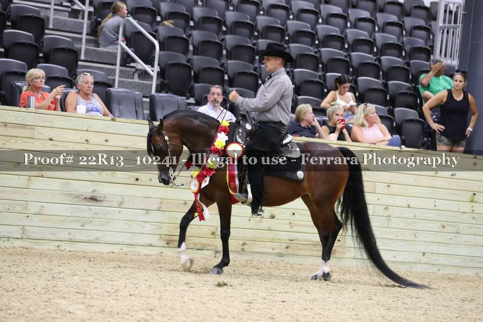 Proof 22R13_10241