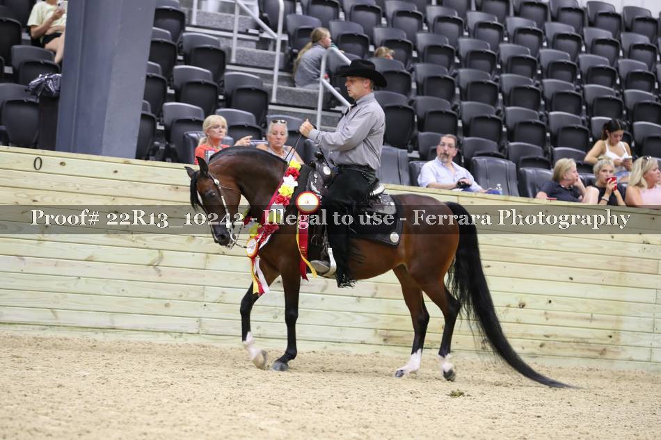 Proof 22R13_10242