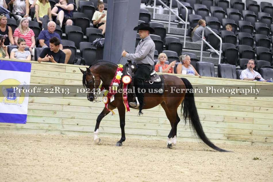 Proof 22R13_10243