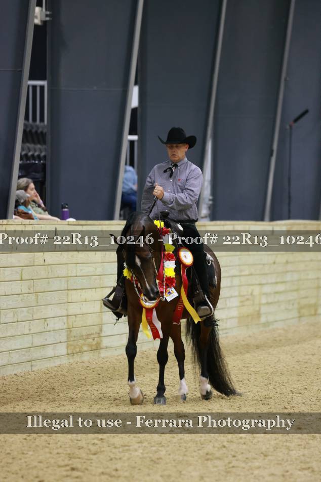 Proof 22R13_10246