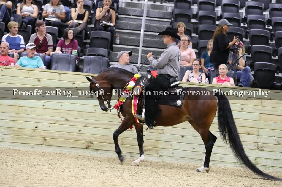 Proof 22R13_10248