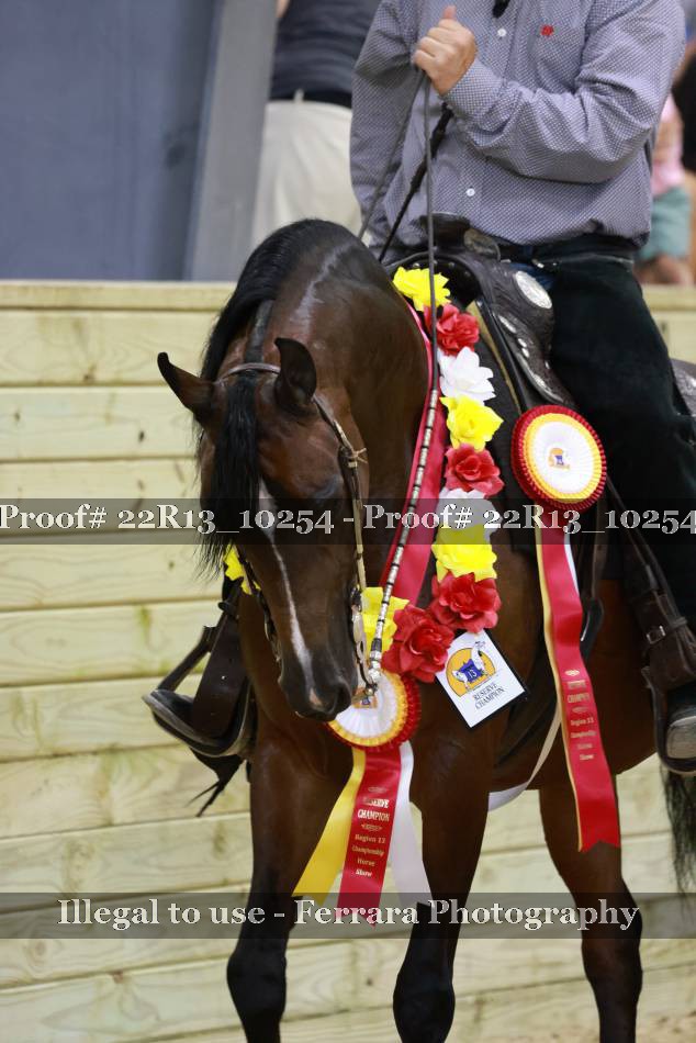 Proof 22R13_10254