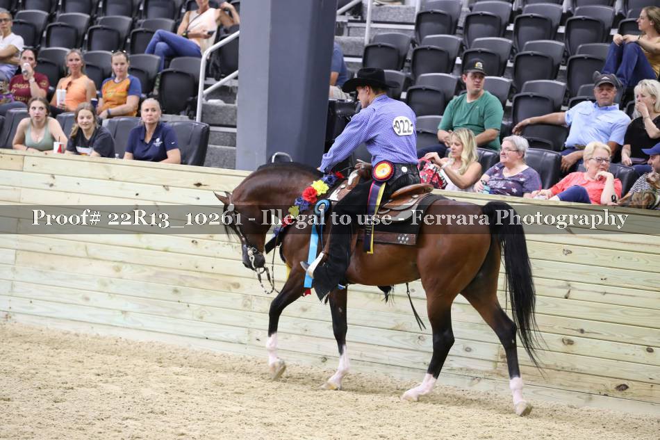 Proof 22R13_10261