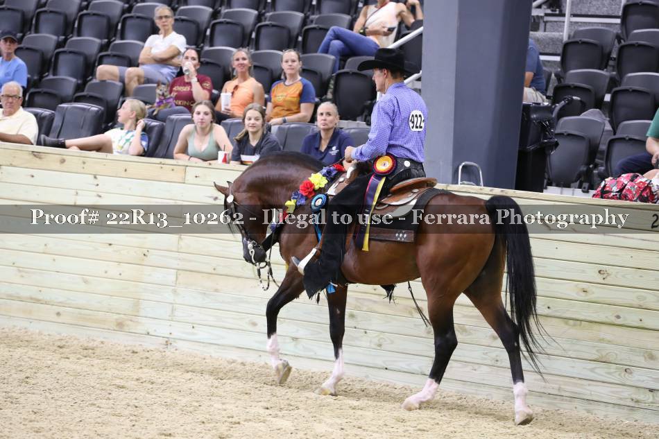 Proof 22R13_10262