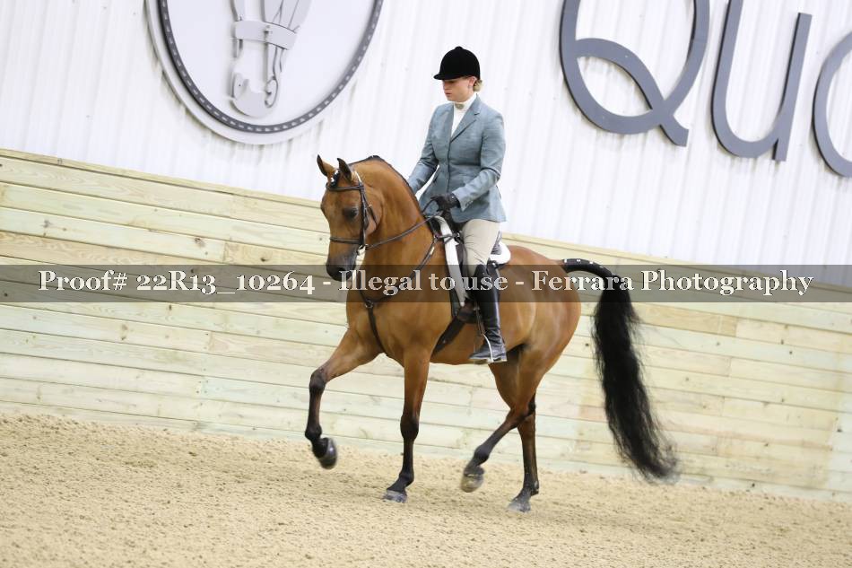 Proof 22R13_10264